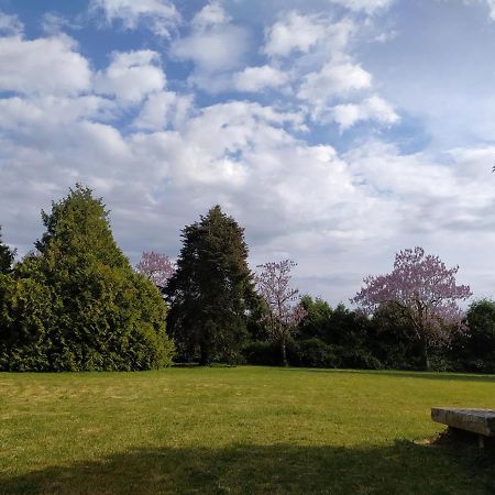 Appartamento Domaine Moulin D' Elemiah Gémozac Esterno foto