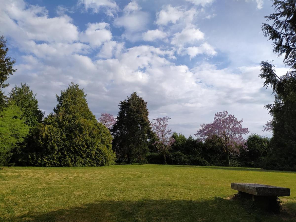 Appartamento Domaine Moulin D' Elemiah Gémozac Esterno foto